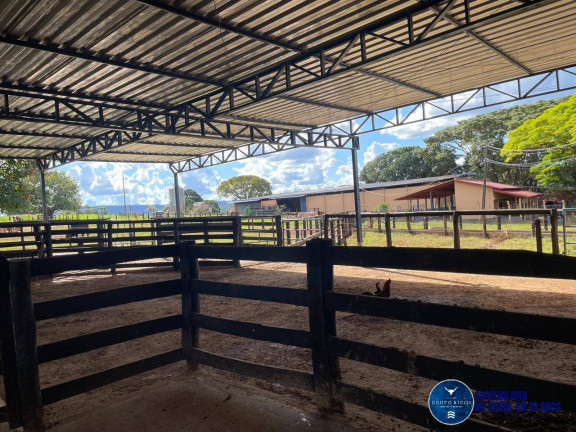 Imagem Fazenda à Venda, 40 m² em Zona Rural - Itaberaí Imagem Fazenda à Venda, 40 m² em Zona Rural - Itaberaí