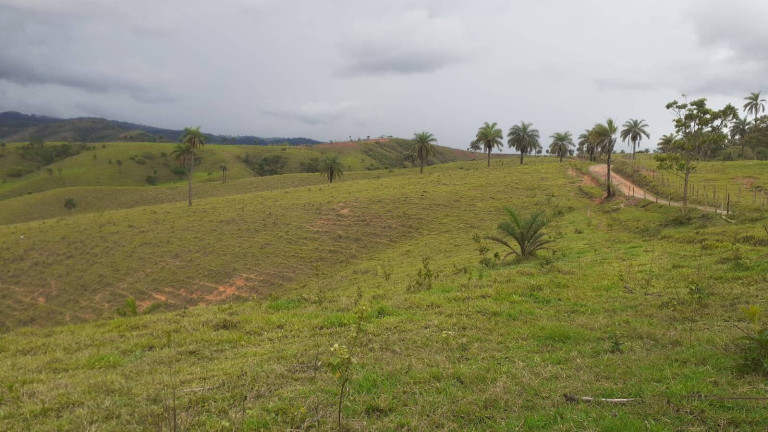 Imagem Fazenda à Venda, 1.950 m² em Centro - Córrego Danta Imagem Fazenda à Venda, 1.950 m² em Centro - Córrego Danta