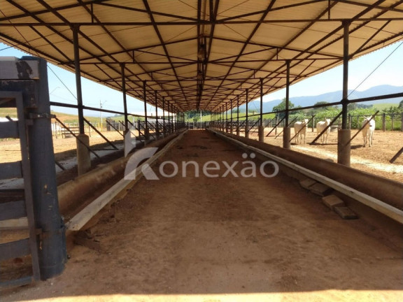 Imagem Fazenda à Venda, 150 m² em Marambaia - Caçapava Imagem Fazenda à Venda, 150 m² em Marambaia - Caçapava