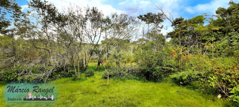 Imagem Imóvel à Venda, 8.650 m² em Caxeta - Campos Dos Goytacazes Imagem Imóvel à Venda, 8.650 m² em Caxeta - Campos Dos Goytacazes