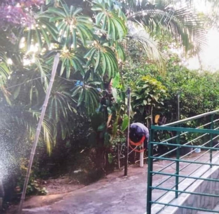 Imagem Imóvel com 2 Quartos à Venda, 1.200 m² em Jardim Nova Conquista - São Paulo Imagem Imóvel com 2 Quartos à Venda, 1.200 m² em Jardim Nova Conquista - São Paulo