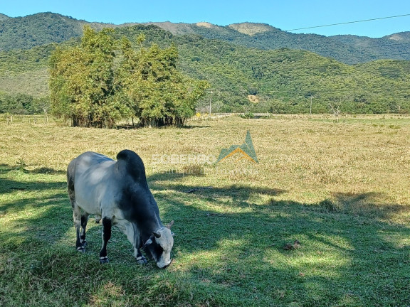 Imagem Imóvel com 8 Quartos à Venda, 6.000.000 m² em Gaviões - Silva Jardim Imagem Imóvel com 8 Quartos à Venda, 6.000.000 m² em Gaviões - Silva Jardim