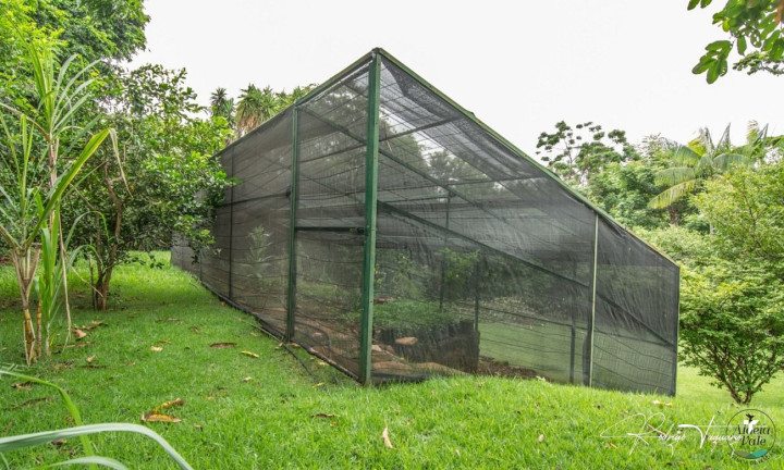 Imagem Casa de Condomínio com 4 Quartos à Venda, 761 m² em Residencial Aldeia Do Vale - Goiânia Imagem Casa de Condomínio com 4 Quartos à Venda, 761 m² em Residencial Aldeia Do Vale - Goiânia