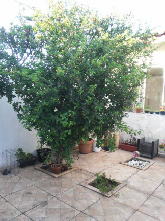 Imagem Casa com 4 Quartos à Venda, 150 m² em Wanel Ville - Sorocaba Imagem Casa com 4 Quartos à Venda, 150 m² em Wanel Ville - Sorocaba