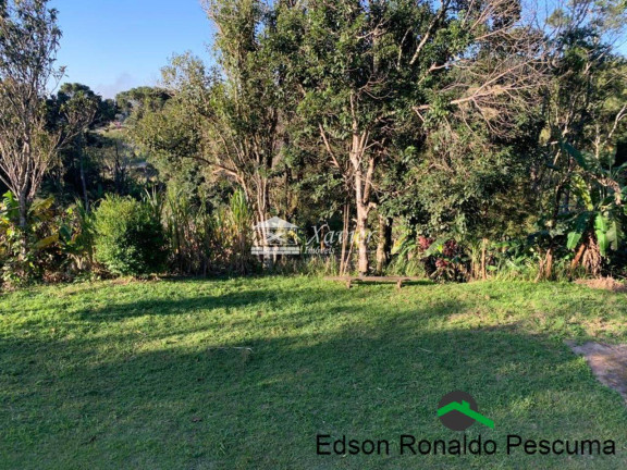 Imagem Chácara com 3 Quartos à Venda, 3.000 m² em Ibiúna Imagem Chácara com 3 Quartos à Venda, 3.000 m² em Ibiúna