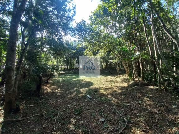 Imagem Terreno à Venda, 16.760 m² em Palestina - Juquitiba Imagem Terreno à Venda, 16.760 m² em Palestina - Juquitiba