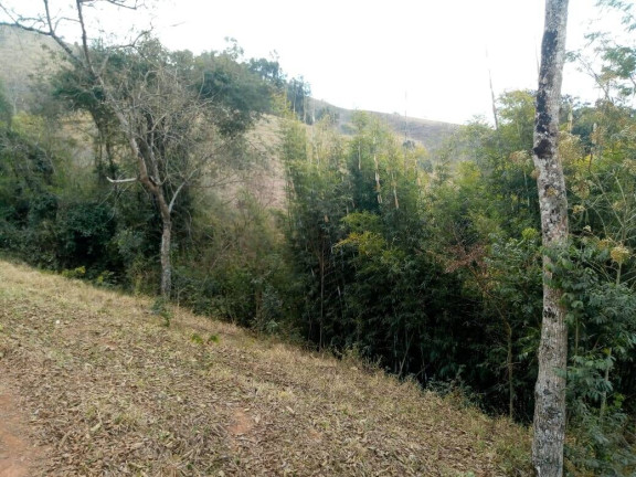 Imagem Chácara com 3 Quartos à Venda, 532 m² em Zona Rural - Cambuí Imagem Chácara com 3 Quartos à Venda, 532 m² em Zona Rural - Cambuí