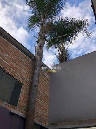Imagem Casa para Alugar, 329 m² em Centro - São Caetano Do Sul