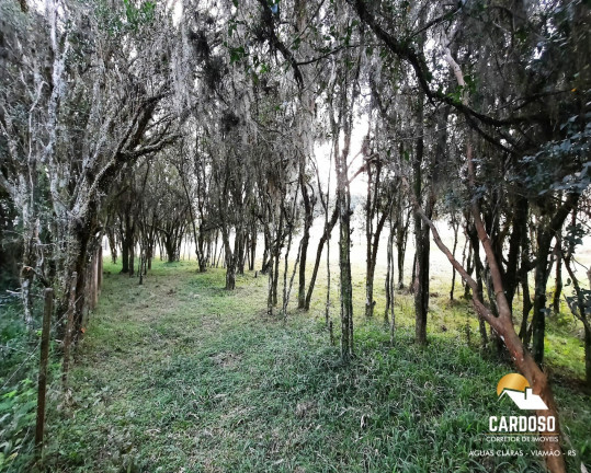 Imagem Imóvel com 3 Quartos à Venda, 20.000 m² em águas Claras - Viamão