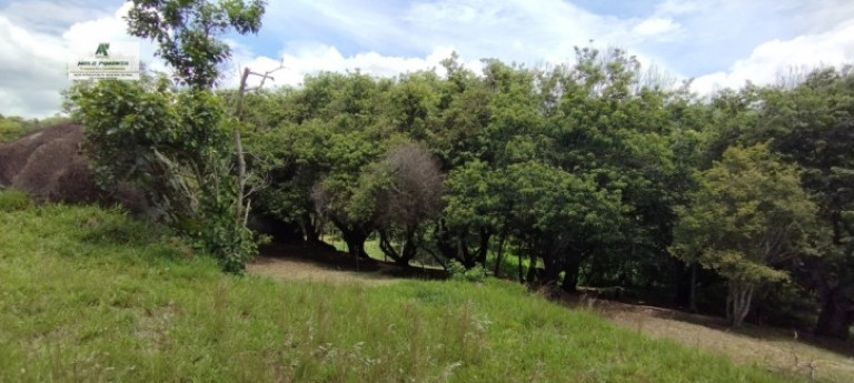 Imagem Fazenda à Venda, 5.000 m² em Alto Da Serra - São Roque Imagem Fazenda à Venda, 5.000 m² em Alto Da Serra - São Roque