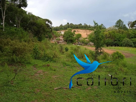 Imagem Terreno à Venda, 3.785 m² em Pinheiro Ocado - Agudos Do Sul Imagem Terreno à Venda, 3.785 m² em Pinheiro Ocado - Agudos Do Sul