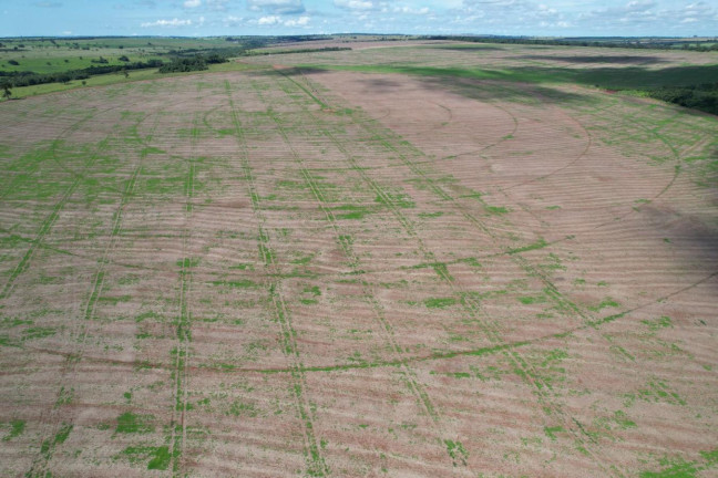 Imagem Fazenda à Venda, 74 m² em Zona Rural - Prata Imagem Fazenda à Venda, 74 m² em Zona Rural - Prata
