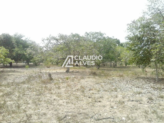 Imagem Terreno à Venda, 10 m² em Jaíba - Feira De Santana Imagem Terreno à Venda, 10 m² em Jaíba - Feira De Santana