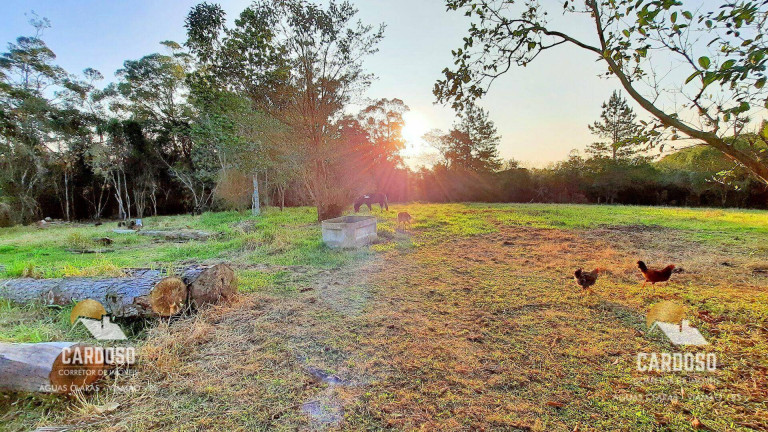 Imagem Fazenda à Venda, 30.000 m² em Passo Do Vigário - Viamão Imagem Fazenda à Venda, 30.000 m² em Passo Do Vigário - Viamão