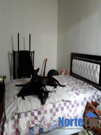Imagem Casa com 3 Quartos à Venda, 140 m² em Jardim Bela Vista (zona Norte) - São Paulo Imagem Casa com 3 Quartos à Venda, 140 m² em Jardim Bela Vista (zona Norte) - São Paulo