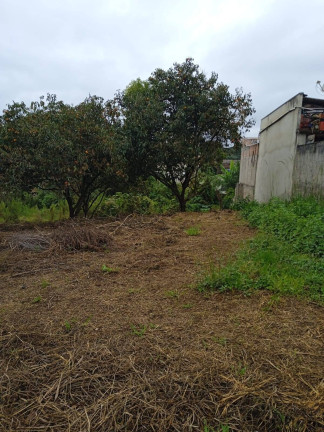 Imagem Terreno à Venda, 4.379 m² em Campo De Santana - Curitiba Imagem Terreno à Venda, 4.379 m² em Campo De Santana - Curitiba