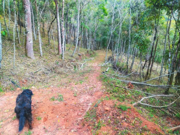 Imagem Imóvel com 1 Quarto à Venda, 5.000 m² em Casa Montanha - Delfim Moreira Imagem Imóvel com 1 Quarto à Venda, 5.000 m² em Casa Montanha - Delfim Moreira