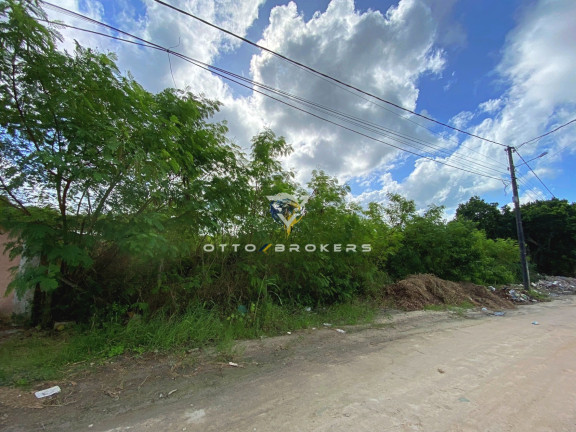 Terreno à Venda, 3.700 m² em Coroa Vermelha - Santa Cruz Cabrália