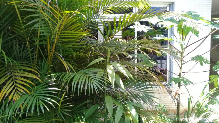 Imagem Casa com 3 Quartos à Venda, 171 m² em Vila Gomes Cardim - São Paulo