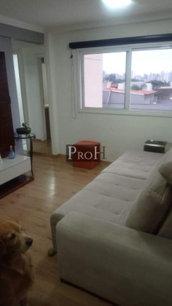Imagem Apartamento com 2 Quartos à Venda, 58 m² em Vila Valparaíso - Santo André Imagem Apartamento com 2 Quartos à Venda, 58 m² em Vila Valparaíso - Santo André
