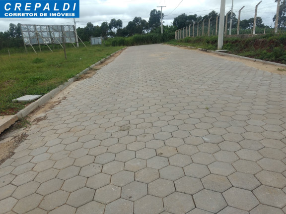 Imagem Terreno à Venda, 367 m² em Lucia Giassi 2 - Cocal Do Sul Imagem Terreno à Venda, 367 m² em Lucia Giassi 2 - Cocal Do Sul