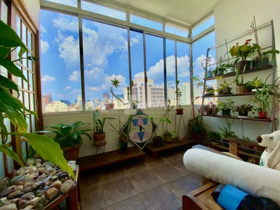 Imagem Apartamento com 3 Quartos à Venda, 174 m² em Higienópolis - São Paulo Imagem Apartamento com 3 Quartos à Venda, 174 m² em Higienópolis - São Paulo