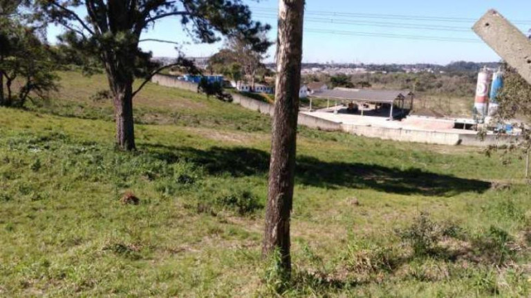 Imagem Terreno à Venda, 24.337 m² em Thomaz Coelho - Araucária