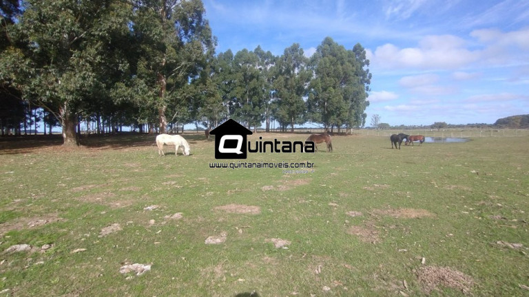 Imagem Imóvel com 2 Quartos à Venda, 470.000 m² em Quinta - Rio Grande Imagem Imóvel com 2 Quartos à Venda, 470.000 m² em Quinta - Rio Grande