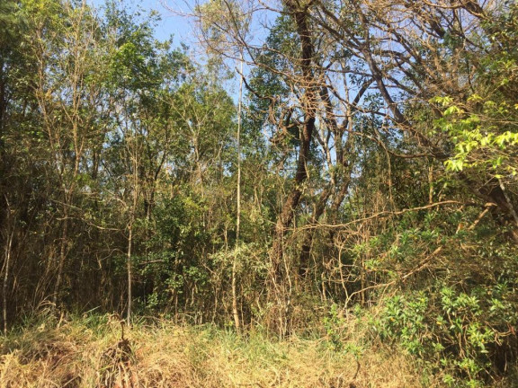 Imagem Chácara à Venda, 20.000 m² em Ponte Alta - Avaré
