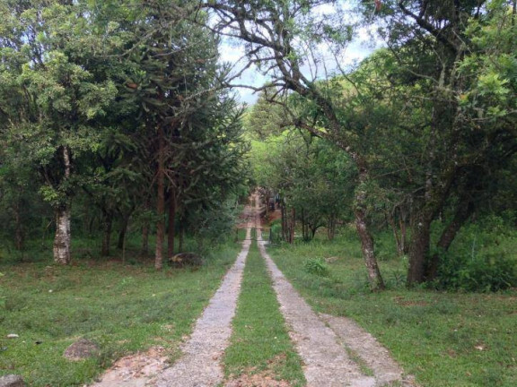 Terreno à Venda, 80 m² em Santa Felicidade - Curitiba