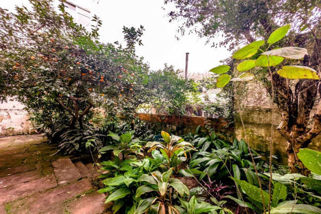 Imagem Casa com 3 Quartos à Venda, 240 m² em Petrópolis - Porto Alegre Imagem Casa com 3 Quartos à Venda, 240 m² em Petrópolis - Porto Alegre