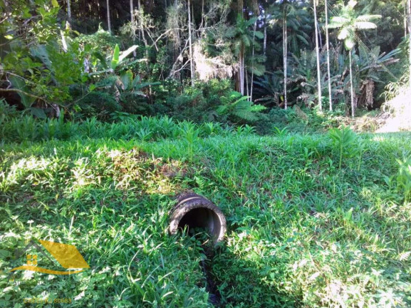 Imagem Chácara com 2 Quartos à Venda, 100 m² em Ribeirão Do Capitão - Bom Jardim Imagem Chácara com 2 Quartos à Venda, 100 m² em Ribeirão Do Capitão - Bom Jardim