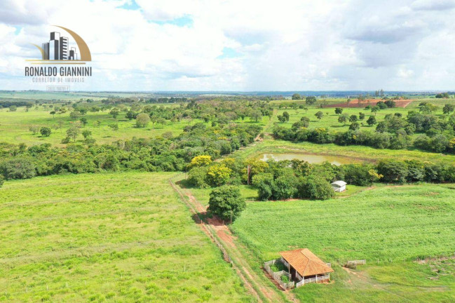 Imagem Fazenda à Venda, 18.150.000 m² em Jardim Monterey - Jales