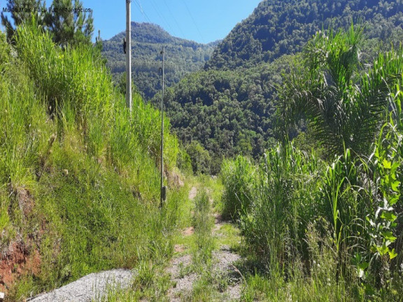 Imagem Imóvel com 2 Quartos à Venda, 130 m² em Linha Pirajá Baixa - Nova Petrópolis Imagem Imóvel com 2 Quartos à Venda, 130 m² em Linha Pirajá Baixa - Nova Petrópolis