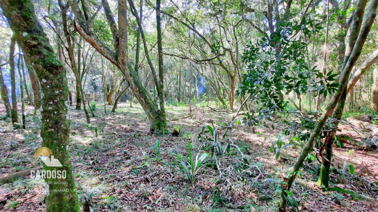 Imagem Fazenda à Venda, 12.000 m² em Morro Grande - Viamão Imagem Fazenda à Venda, 12.000 m² em Morro Grande - Viamão