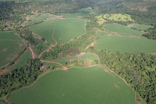 Imagem Fazenda à Venda, 160 m² em Zona Rural - Rio Verde Imagem Fazenda à Venda, 160 m² em Zona Rural - Rio Verde