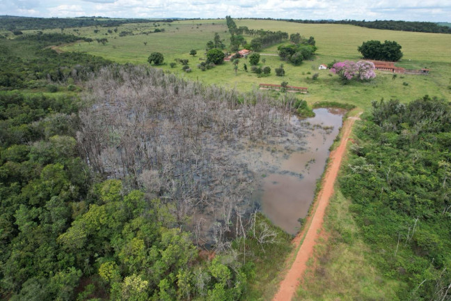 Imagem Fazenda à Venda, 42 m² em Zona Rural - Uberaba Imagem Fazenda à Venda, 42 m² em Zona Rural - Uberaba