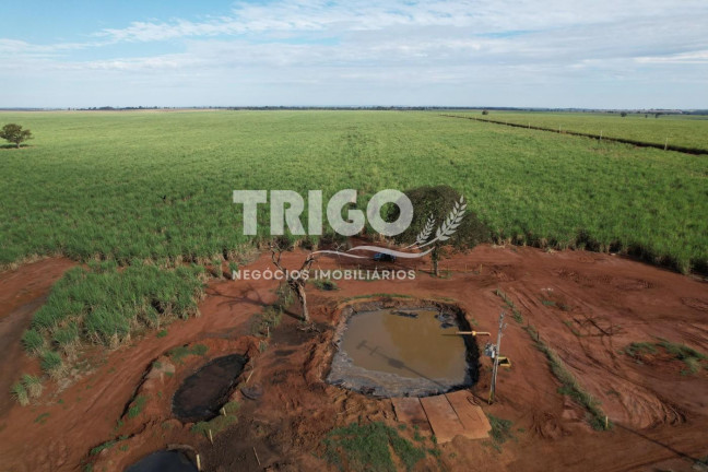 Imagem Fazenda à Venda, 115 m² em Zona Rural - Quirinópolis Imagem Fazenda à Venda, 115 m² em Zona Rural - Quirinópolis