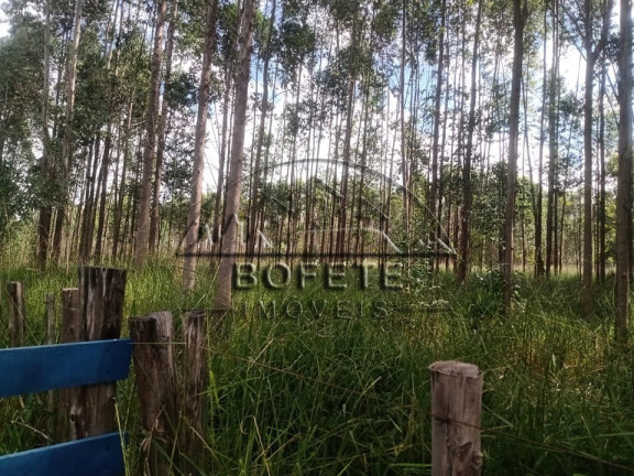 Imagem Imóvel à Venda, 20.000 m² em São Marcos - Bofete Imagem Imóvel à Venda, 20.000 m² em São Marcos - Bofete