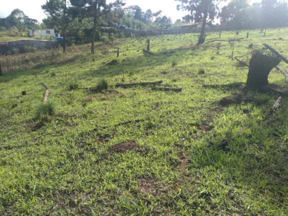 Imagem Terreno à Venda, 2.000 m² em Alpes Paulista (mailasqui) - São Roque