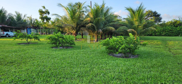 Imagem Chácara com 2 Quartos à Venda, 14.600 m² em Povoado - Pedras De Fogo Imagem Chácara com 2 Quartos à Venda, 14.600 m² em Povoado - Pedras De Fogo