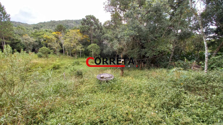 Imagem Casa com 3 Quartos à Venda, 3.848 m² em Vargem Do Salto - Ibiúna Imagem Casa com 3 Quartos à Venda, 3.848 m² em Vargem Do Salto - Ibiúna