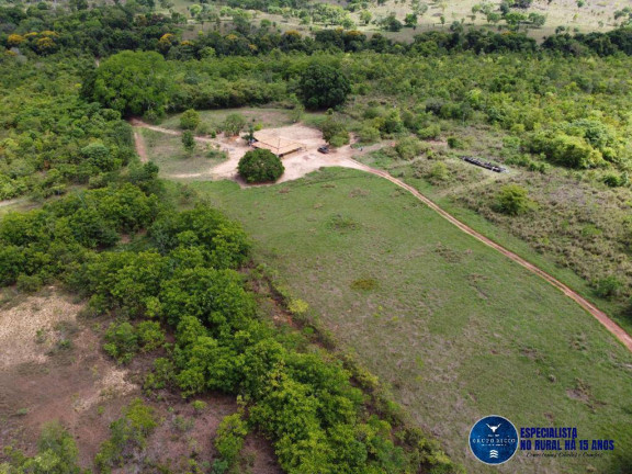 Imagem Fazenda à Venda, 245 m² em Zona Rural - Palmeirante Imagem Fazenda à Venda, 245 m² em Zona Rural - Palmeirante
