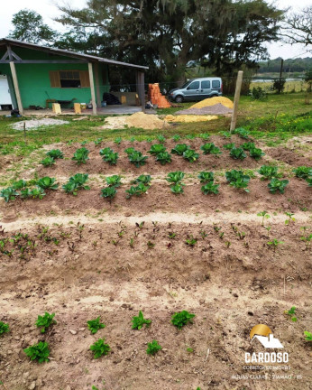 Imagem Imóvel com 3 Quartos à Venda, 3 m² em águas Claras - Viamão