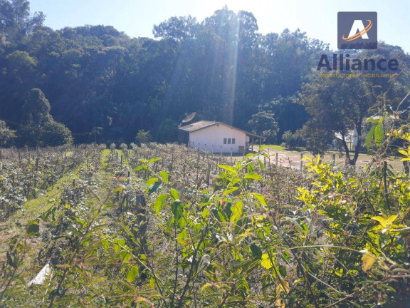 Imóvel à Venda, 1.632 m² em Jardim 21 De Março - Louveira
