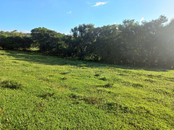 Imagem Fazenda à Venda, 65.340 m² em Bonfim - Pirassununga Imagem Fazenda à Venda, 65.340 m² em Bonfim - Pirassununga