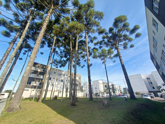 Imagem Apartamento com 2 Quartos à Venda, 40 m² em Jardim Itaqui - Campo Largo Imagem Apartamento com 2 Quartos à Venda, 40 m² em Jardim Itaqui - Campo Largo