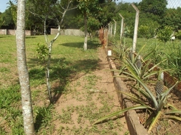 Imagem Casa com 2 Quartos à Venda, 2.340 m² em águas Claras - Viamão