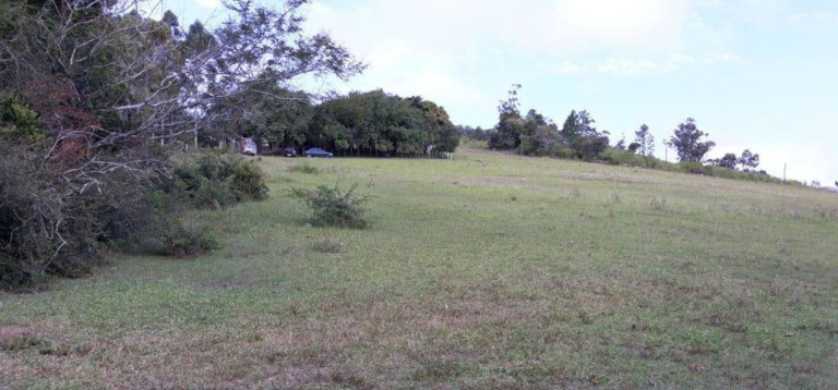 Imagem Chácara com 4 Quartos à Venda, 76.000 m² em Itapuã - Viamão