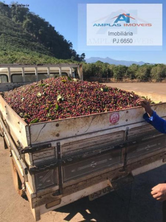 Imagem Fazenda à Venda, 35 m² em Manhumirim